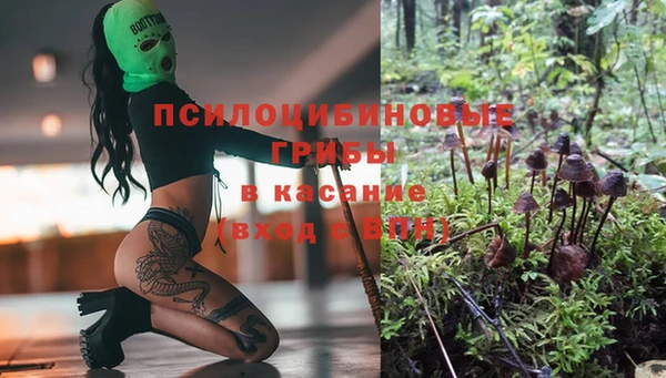 МДПВ Киселёвск