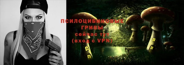 ГАЛЛЮЦИНОГЕННЫЕ ГРИБЫ Нея