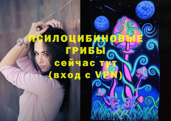 индика Навашино