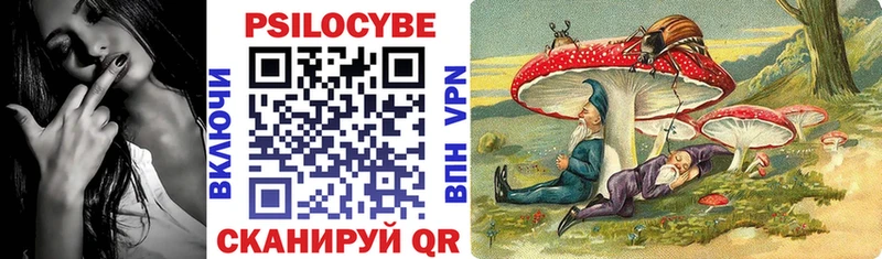 Галлюциногенные грибы Cubensis  Новоржев 
